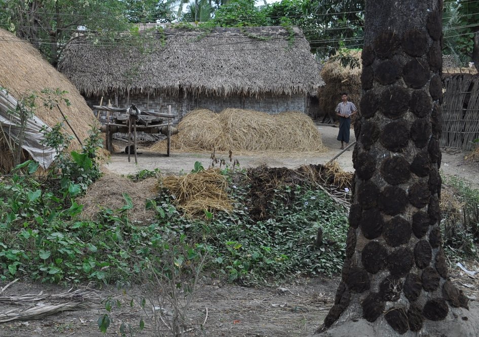 Photo 2 – Bouse de vache séchée, village de Jaipur, près de Zeyawadi - JPEG